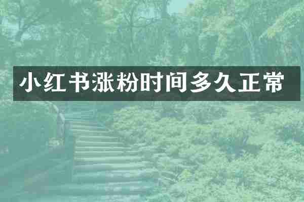 小红书涨粉时间多久正常