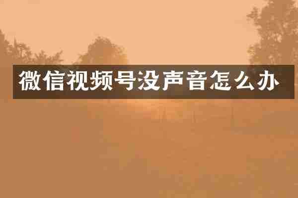 微信视频号没声音怎么办