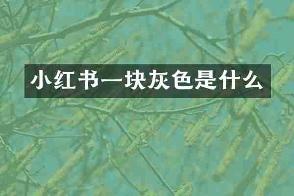 小红书一块灰色是什么