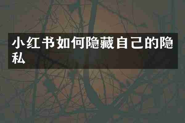 小红书如何隐藏自己的隐私