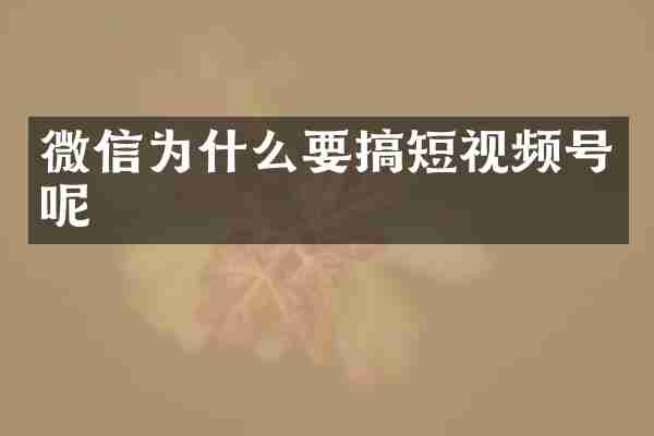 微信为什么要搞短视频号呢