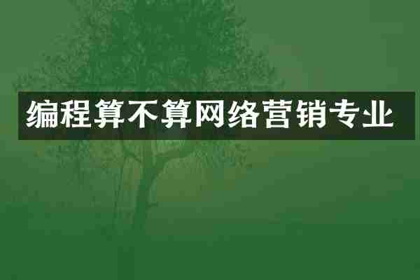 编程算不算网络营销专业