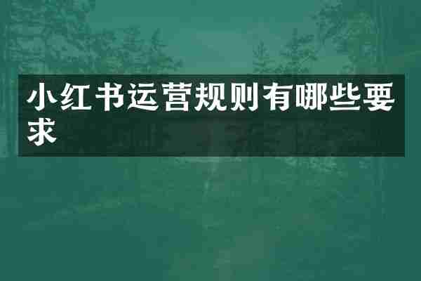 小红书运营规则有哪些要求