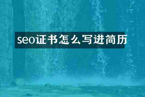 seo证书怎么写进简历