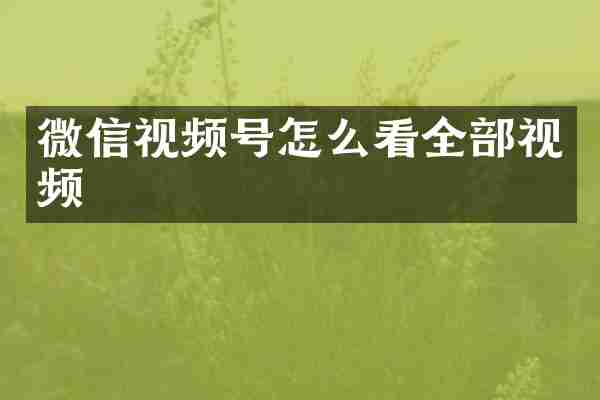 微信视频号怎么看全部视频