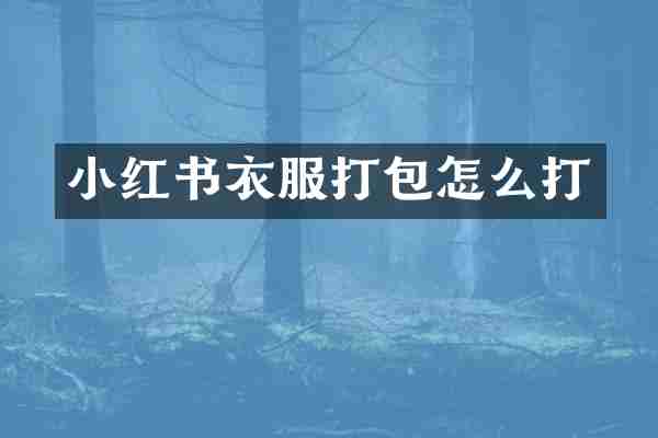 小红书衣服打包怎么打