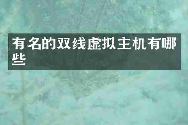 有名的双线虚拟主机有哪些
