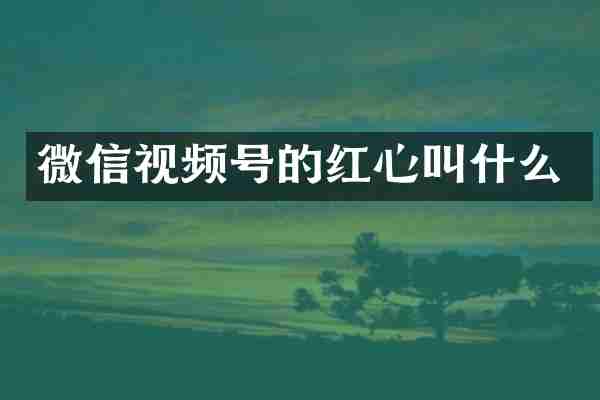 微信视频号的红心叫什么