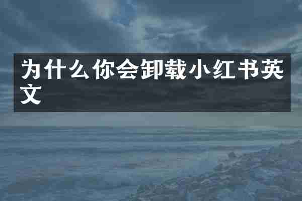 为什么你会卸载小红书英文