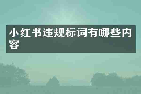 小红书违规标词有哪些内容