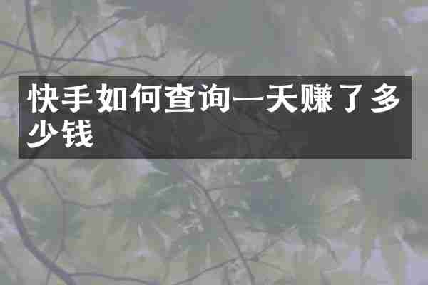 快手如何查询一天赚了多少钱