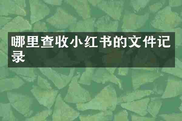 哪里查收小红书的文件记录