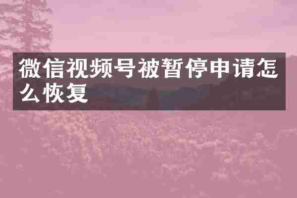 微信视频号被暂停申请怎么恢复