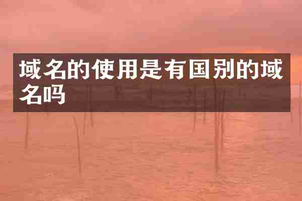 域名的使用是有国别的域名吗