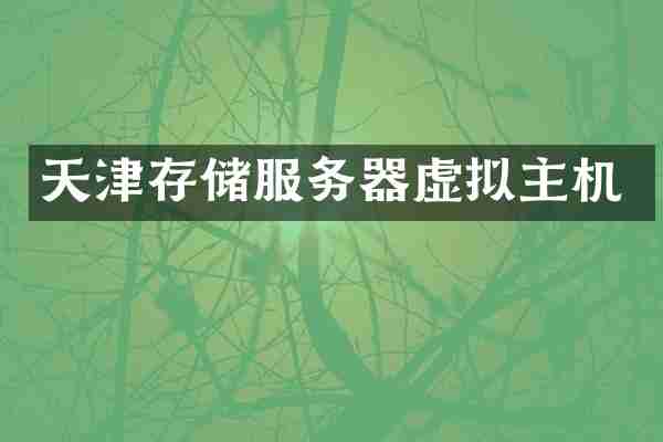 天津存储服务器虚拟主机