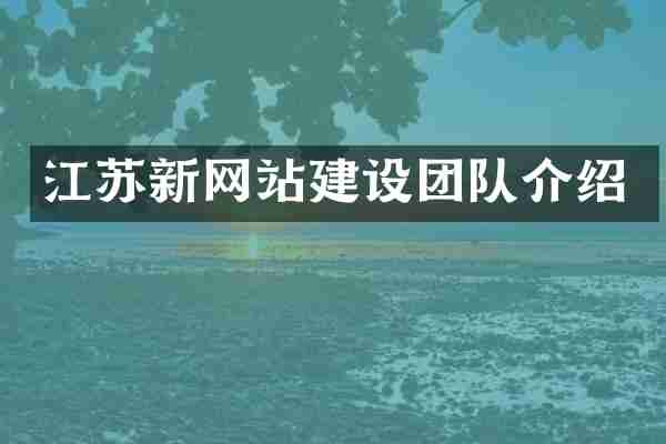 江苏新网站建设团队介绍