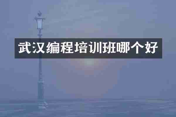 武汉编程培训班哪个好