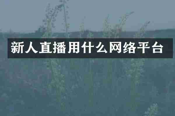 新人直播用什么网络平台
