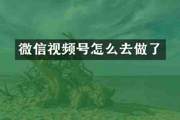 微信视频号怎么去做了