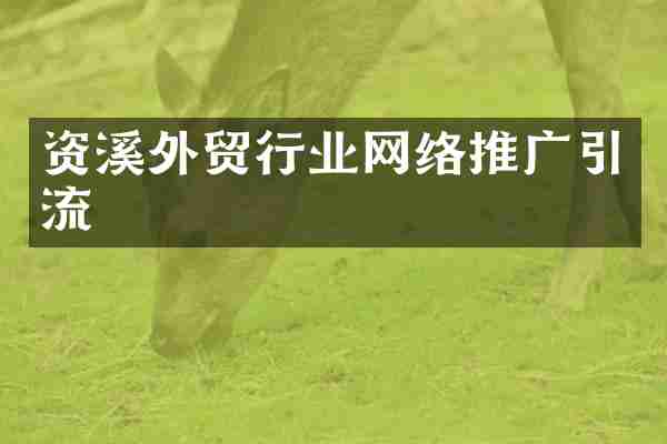 资溪外贸行业网络推广引流
