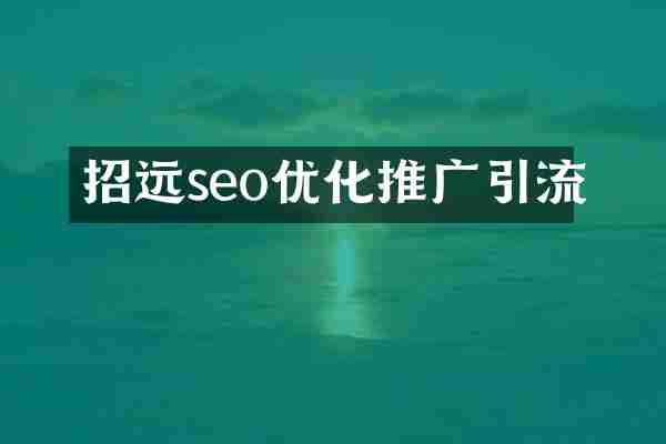 招远seo优化推广引流