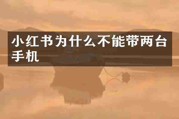 小红书为什么不能带两台手机