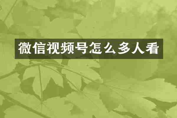 微信视频号怎么多人看