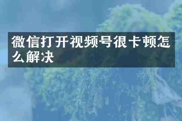 微信打开视频号很卡顿怎么解决