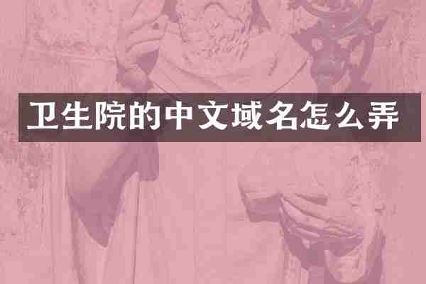卫生院的中文域名怎么弄