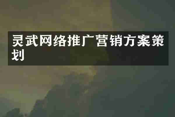 灵武网络推广营销方案策划