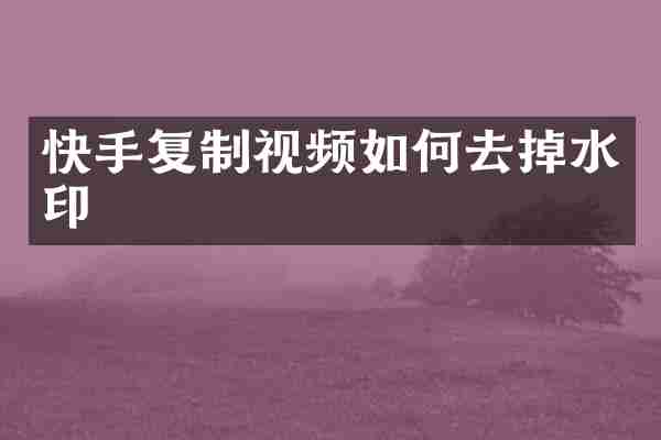快手复制视频如何去掉水印