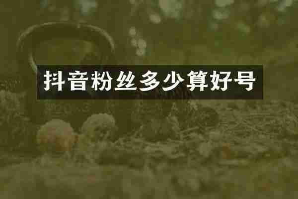 抖音粉丝多少算好号