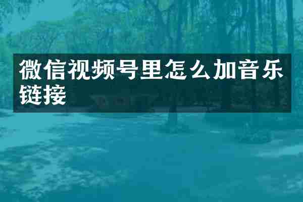 微信视频号里怎么加音乐链接