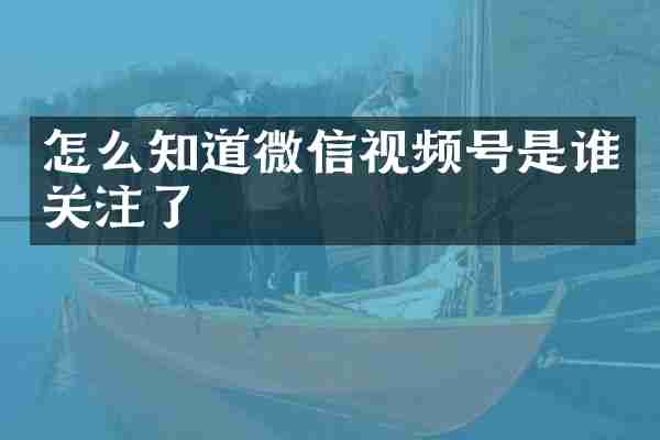 怎么知道微信视频号是谁关注了