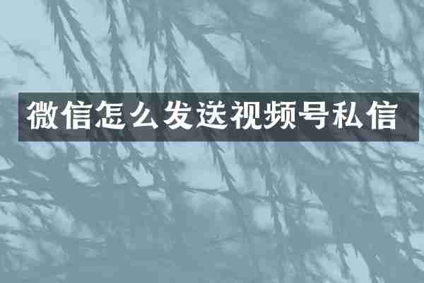 微信怎么发送视频号私信