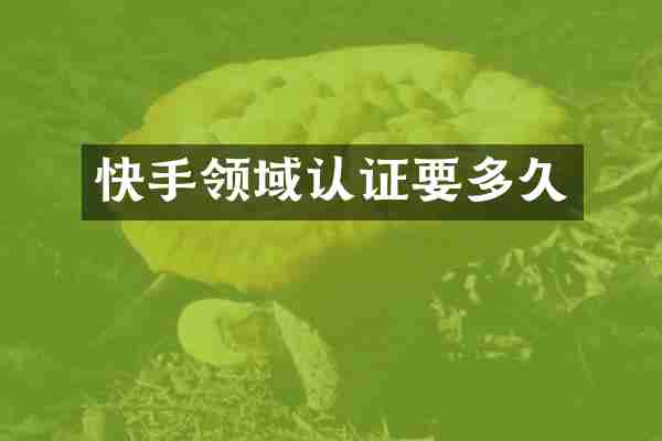 快手领域认证要多久