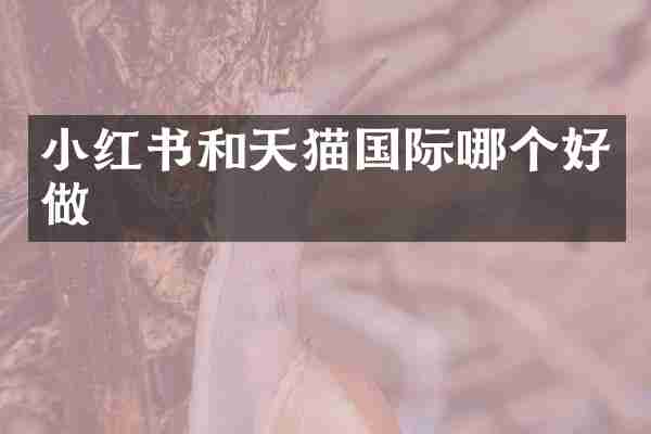 小红书和天猫国际哪个好做