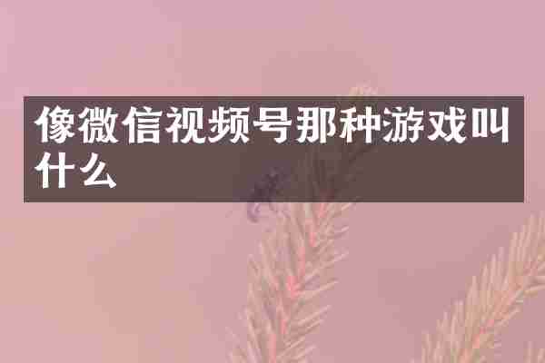 像微信视频号那种游戏叫什么