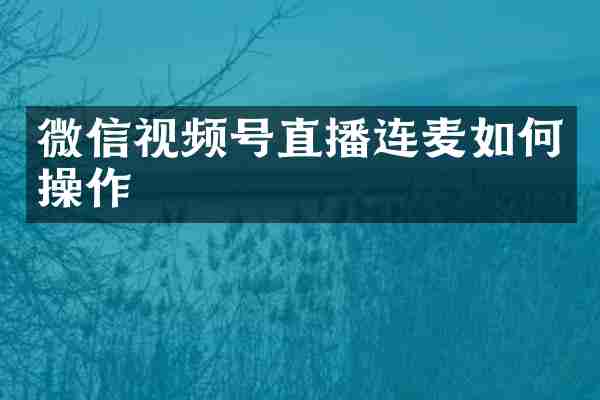 微信视频号直播连麦如何操作