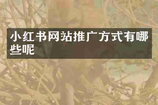 小红书网站推广方式有哪些呢