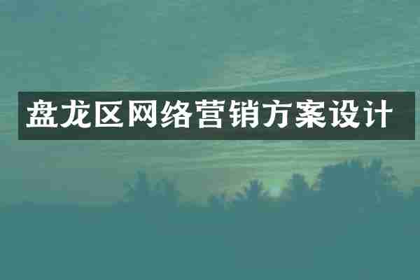 盘龙区网络营销方案设计