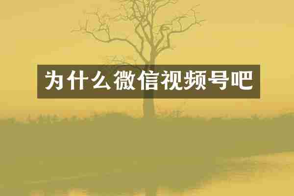 为什么微信视频号吧