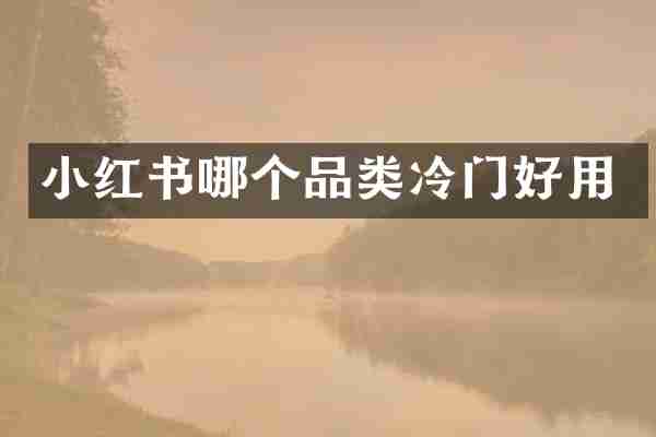 小红书哪个品类冷门好用