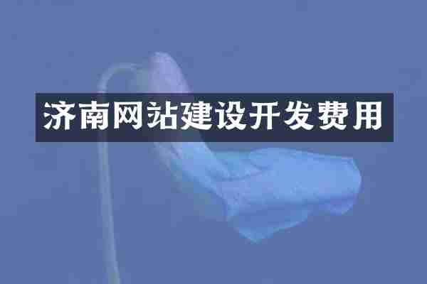 济南网站建设开发费用