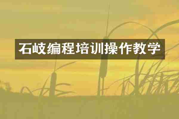 石岐编程培训操作教学