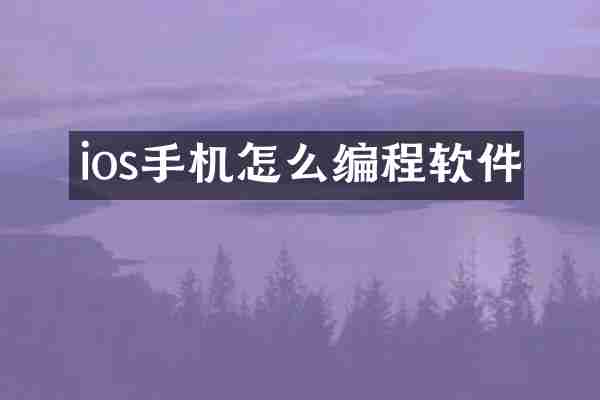 ios手机怎么编程软件