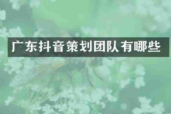 广东抖音策划团队有哪些