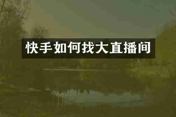 快手如何找大直播间