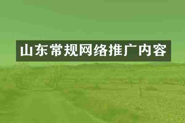 山东常规网络推广内容