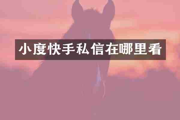 小度快手私信在哪里看